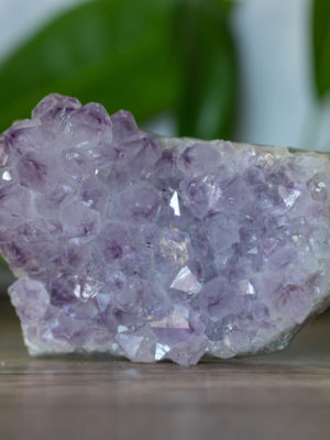 Amethyst Cluster Geode
