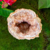 pink amethyst geode salted moon rocks