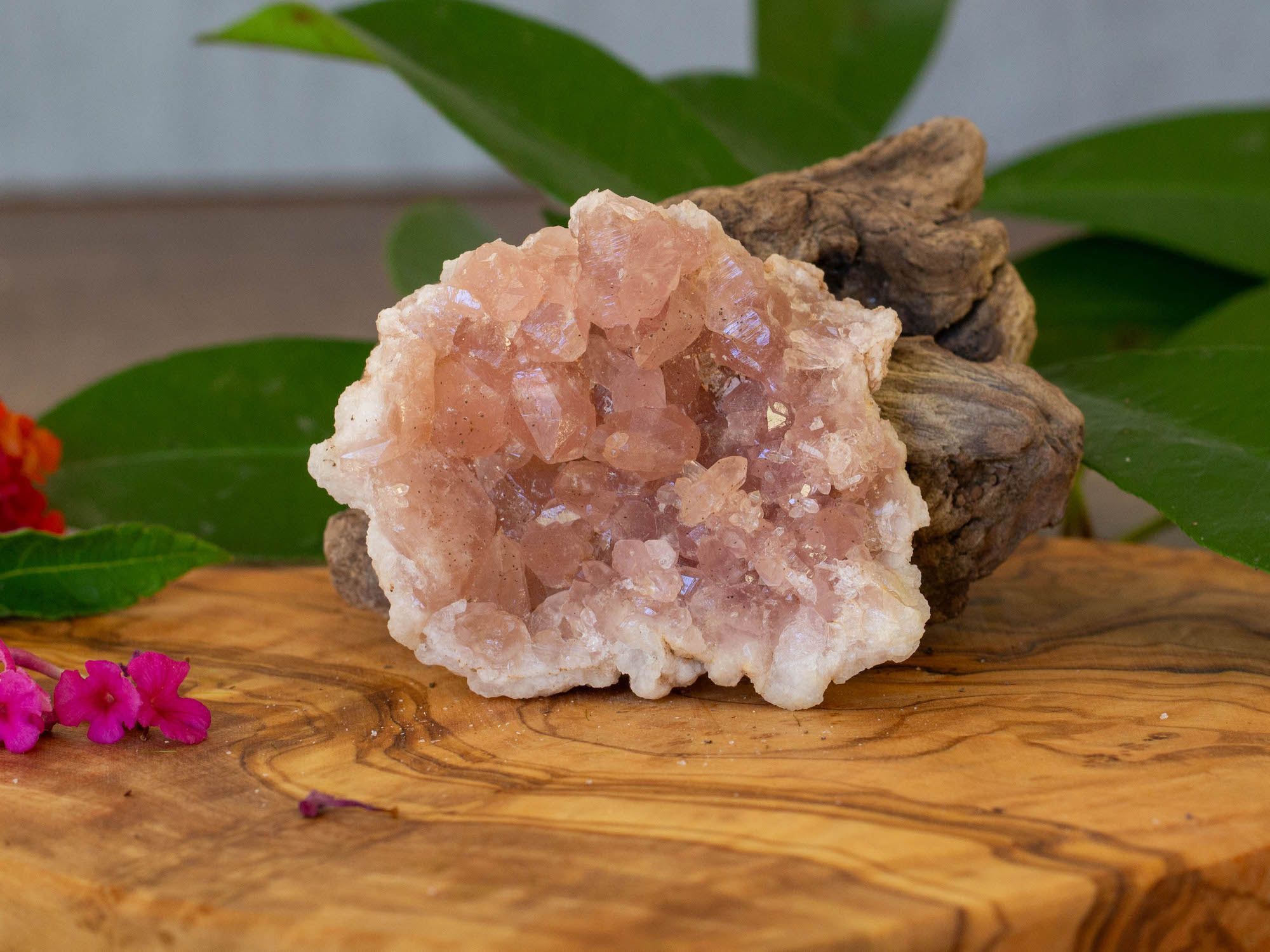 IMG_2288 copy pink amethyst geode salted moon rocks