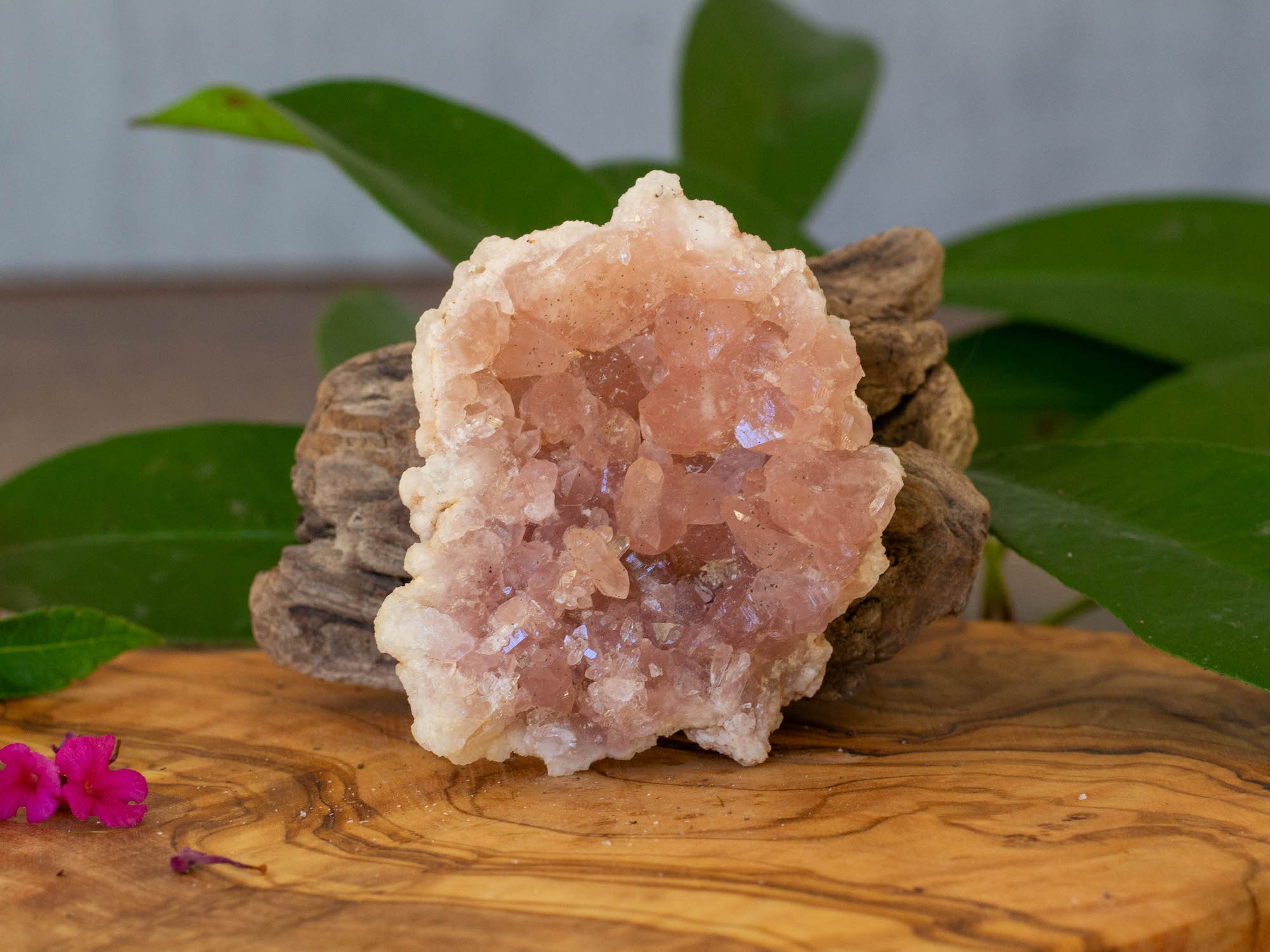 IMG_2289 copy pink amethyst geode salted moon rocks
