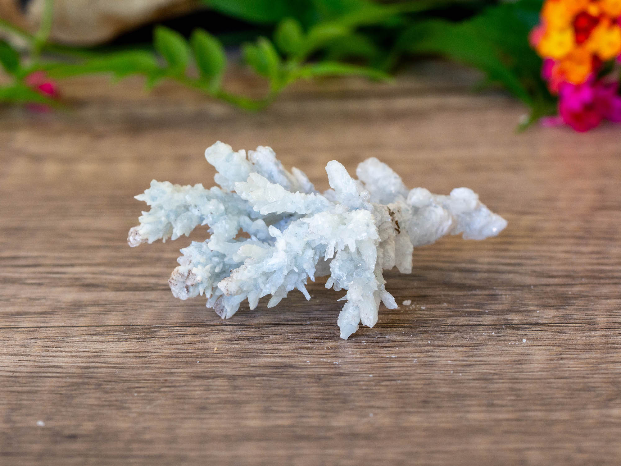 IMG_2050 copy blue aragonite raw cluster salted moon rocks