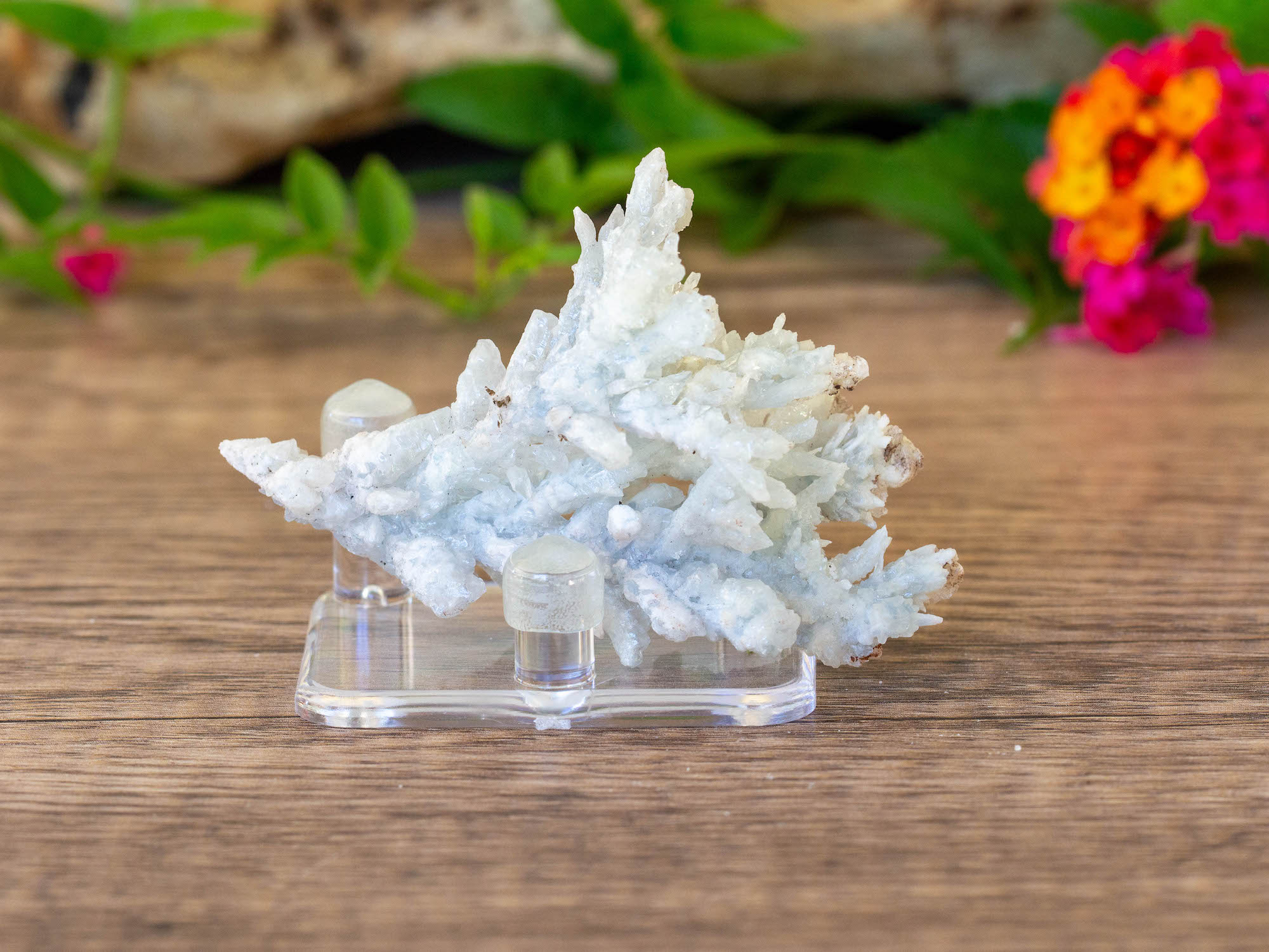 IMG_2052 copy blue aragonite raw cluster salted moon rocks