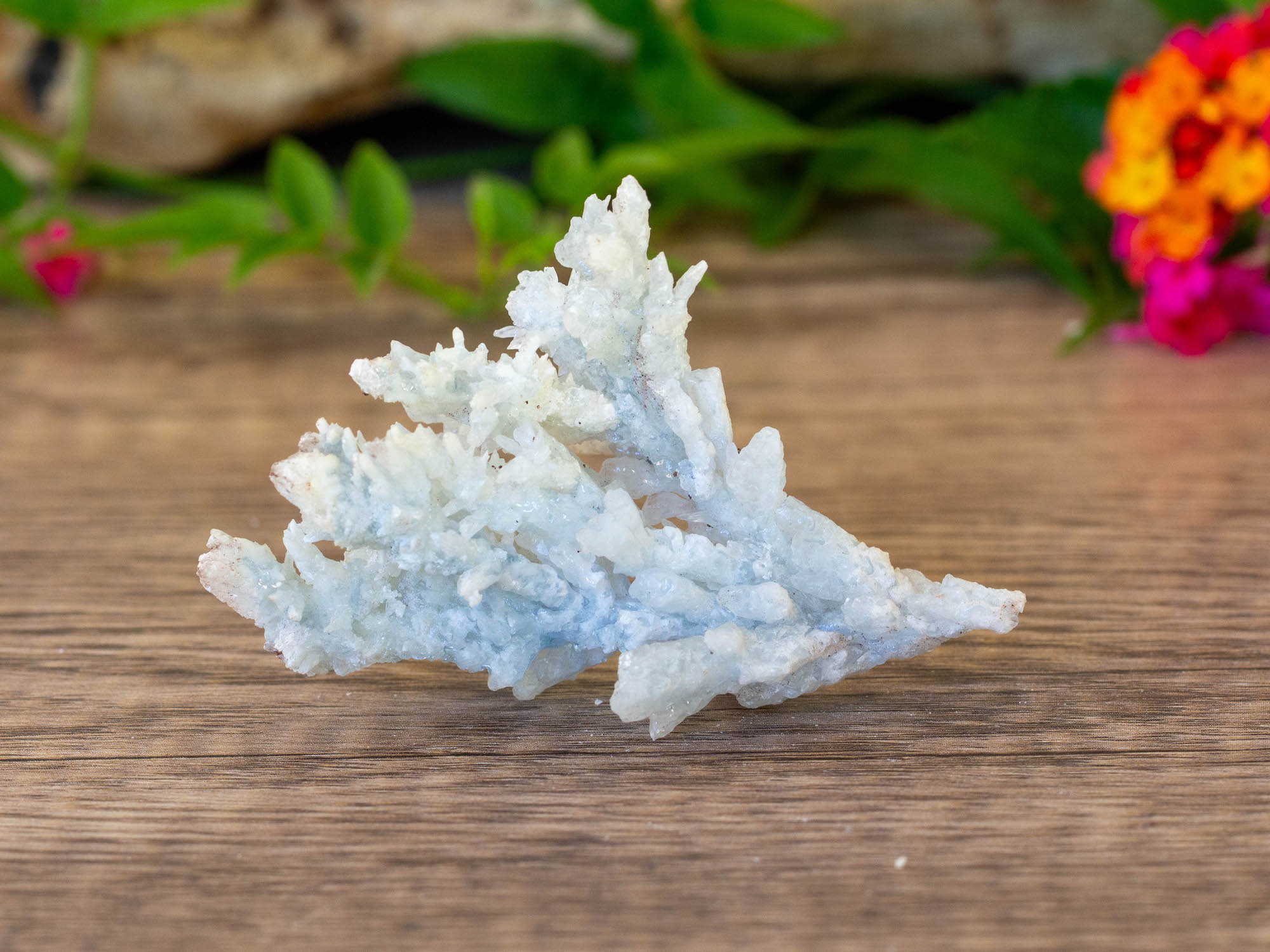 IMG_2054 copy blue aragonite raw cluster salted moon rocks