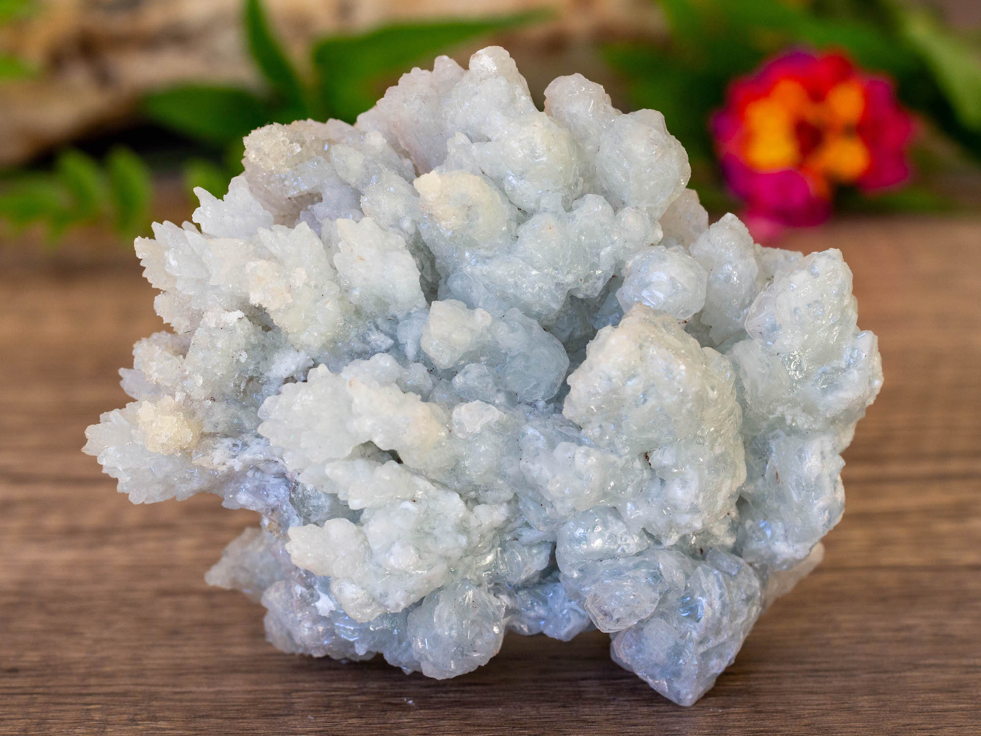 IMG_2070 copy blue aragonite raw cluster salted moon rocks