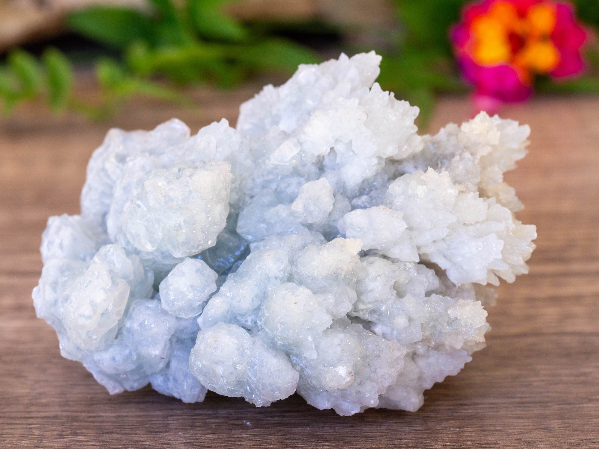 IMG_2071 copy blue aragonite raw cluster salted moon rocks