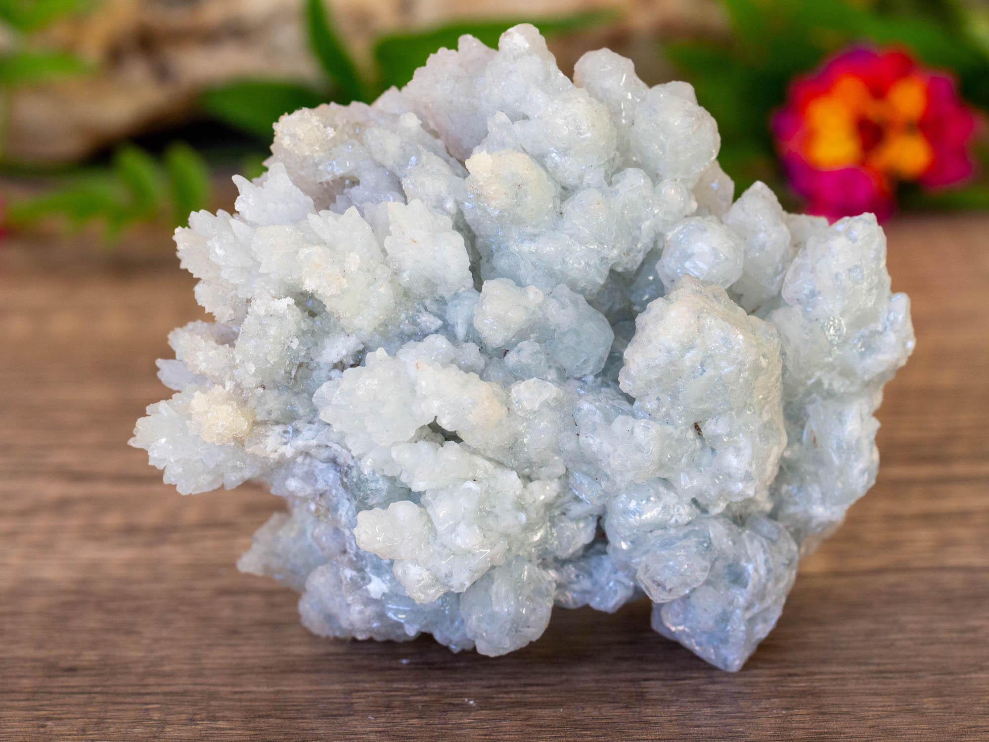 IMG_2072 copy blue aragonite raw cluster salted moon rocks