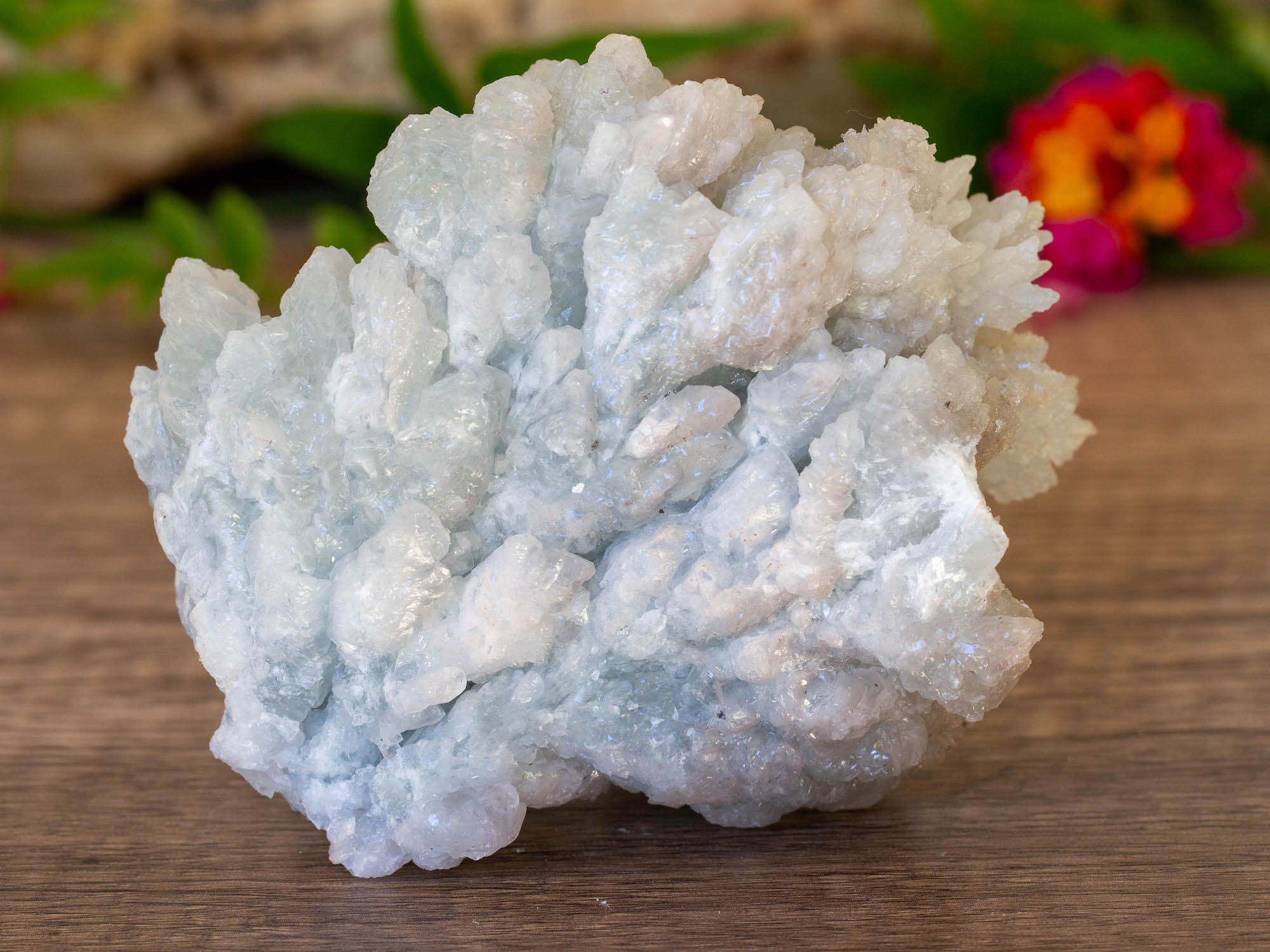 IMG_2073 copy blue aragonite raw cluster salted moon rocks