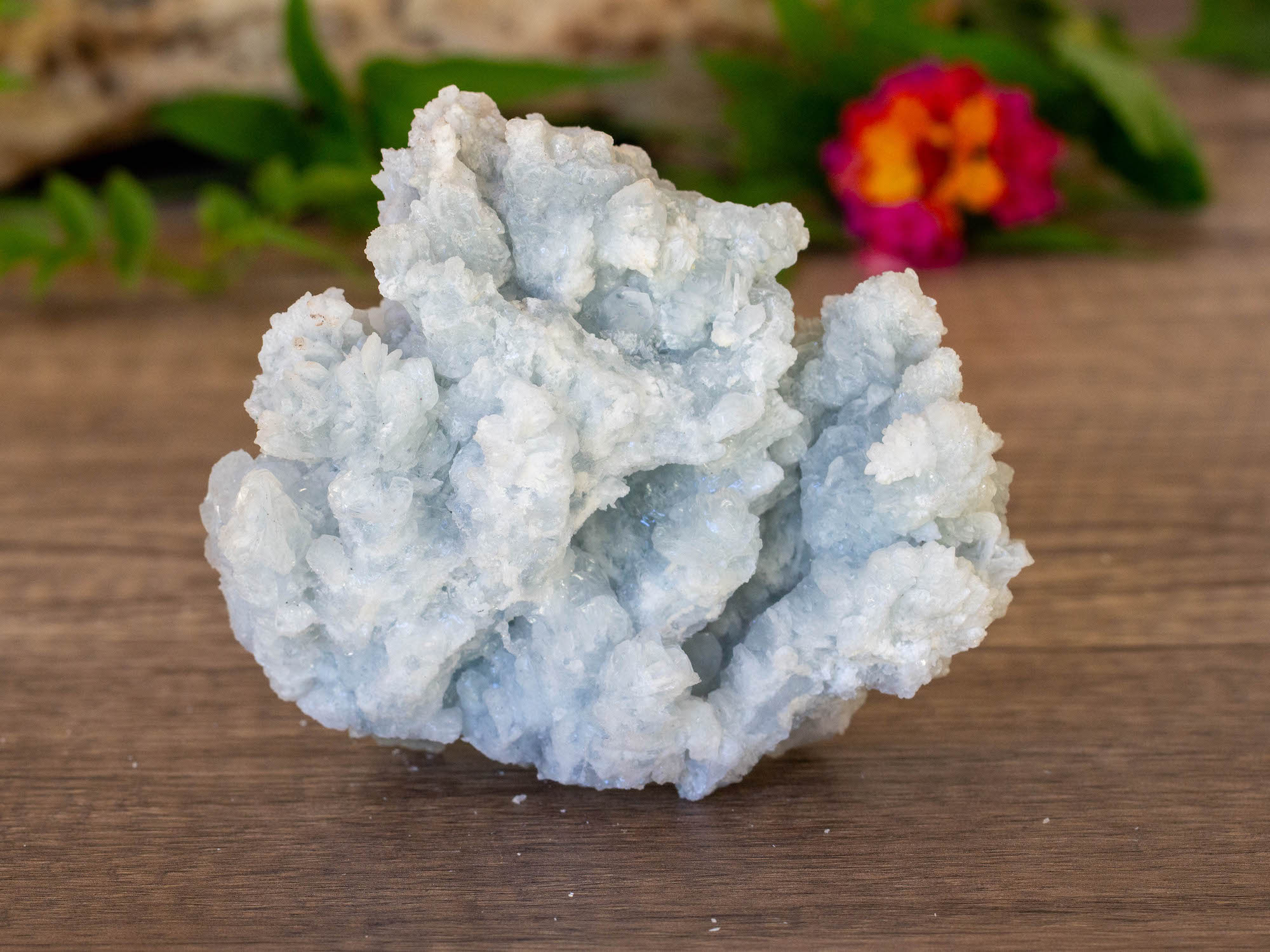 IMG_2083 copy blue aragonite raw cluster salted moon rocks