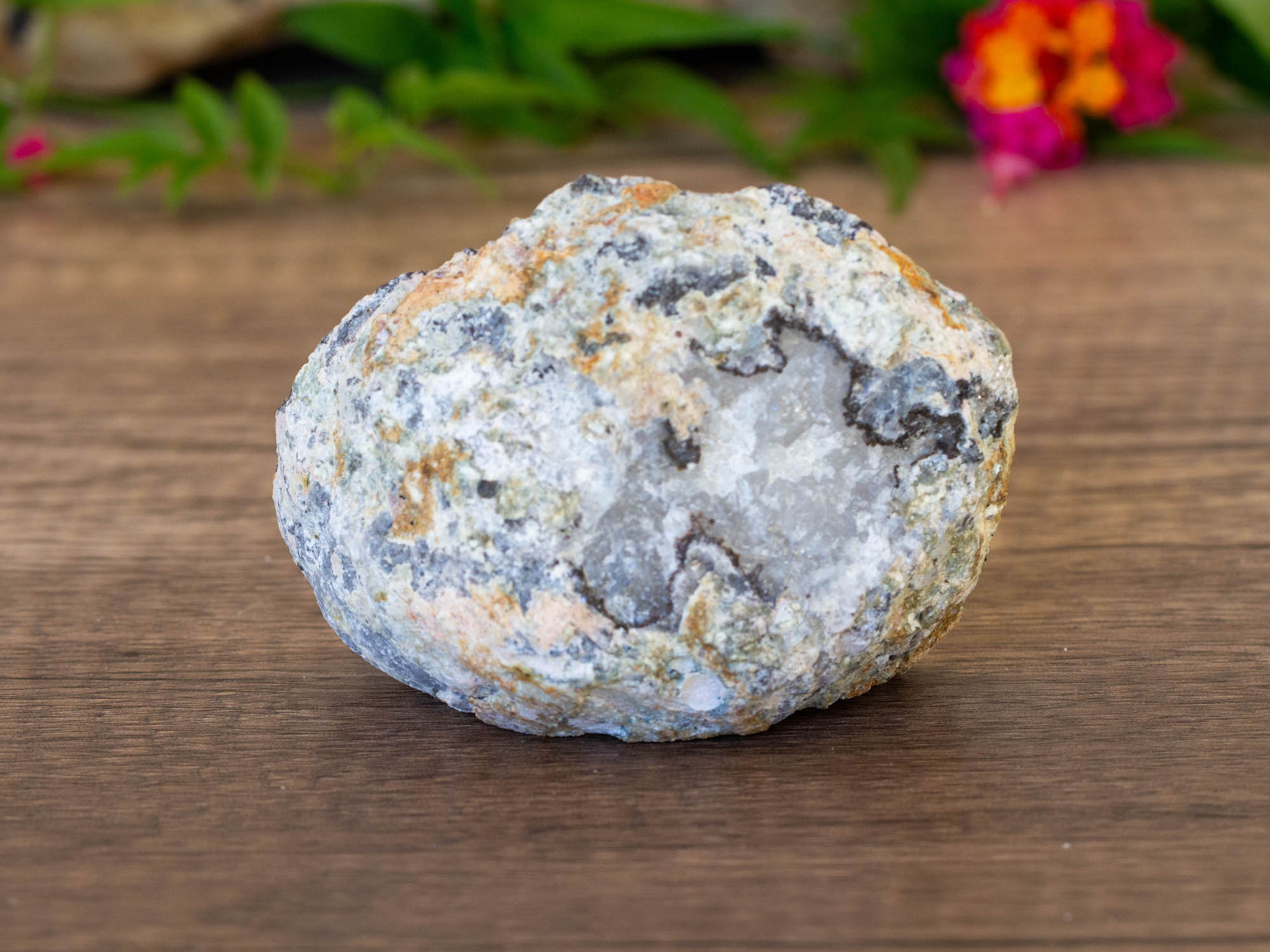 IMG_2096 copy trancas geode salted moon rocks