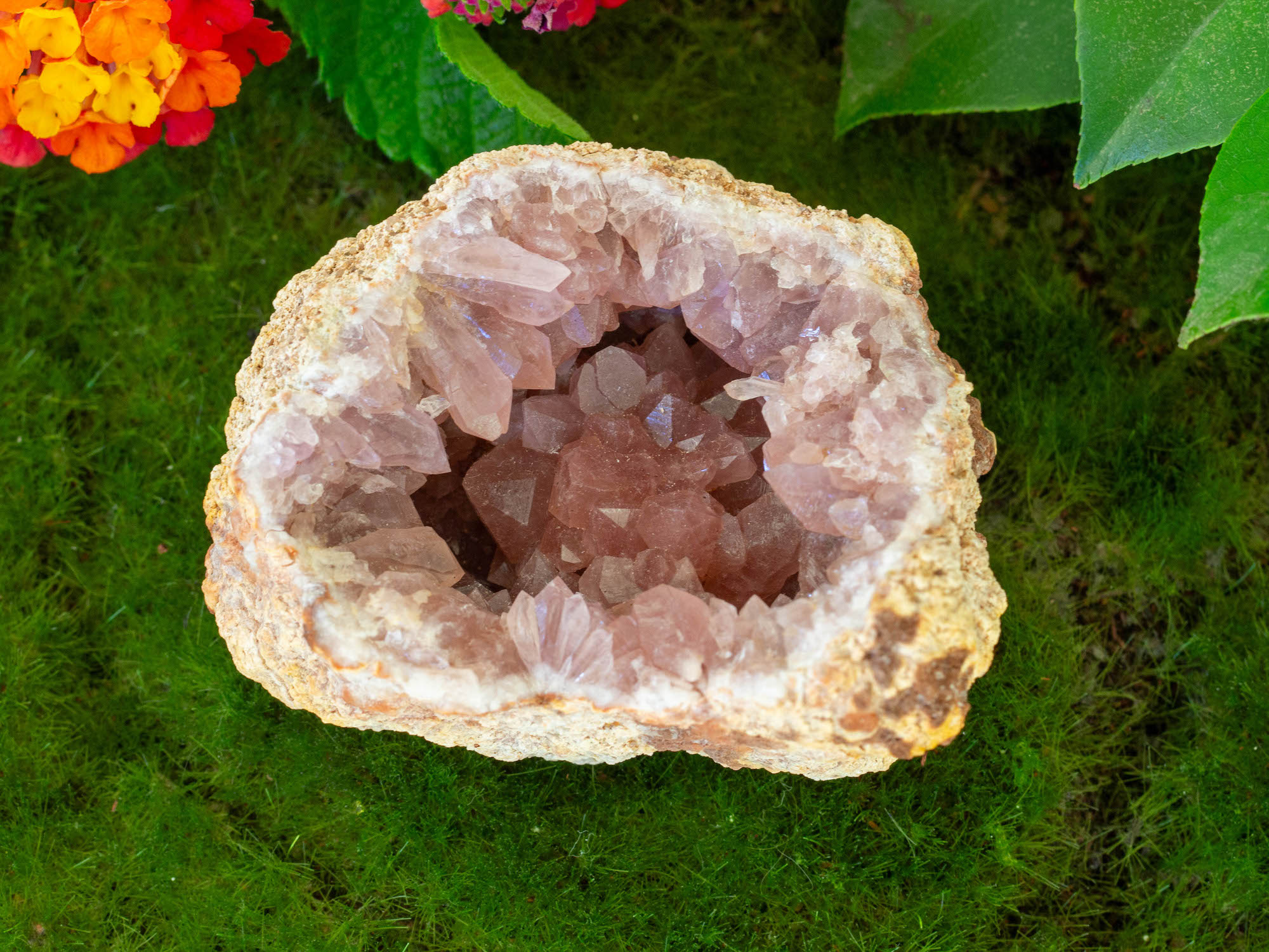 IMG_2228 copy pink amethyst geode salted moon rocks
