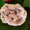 pink amethyst geode salted moon rocks