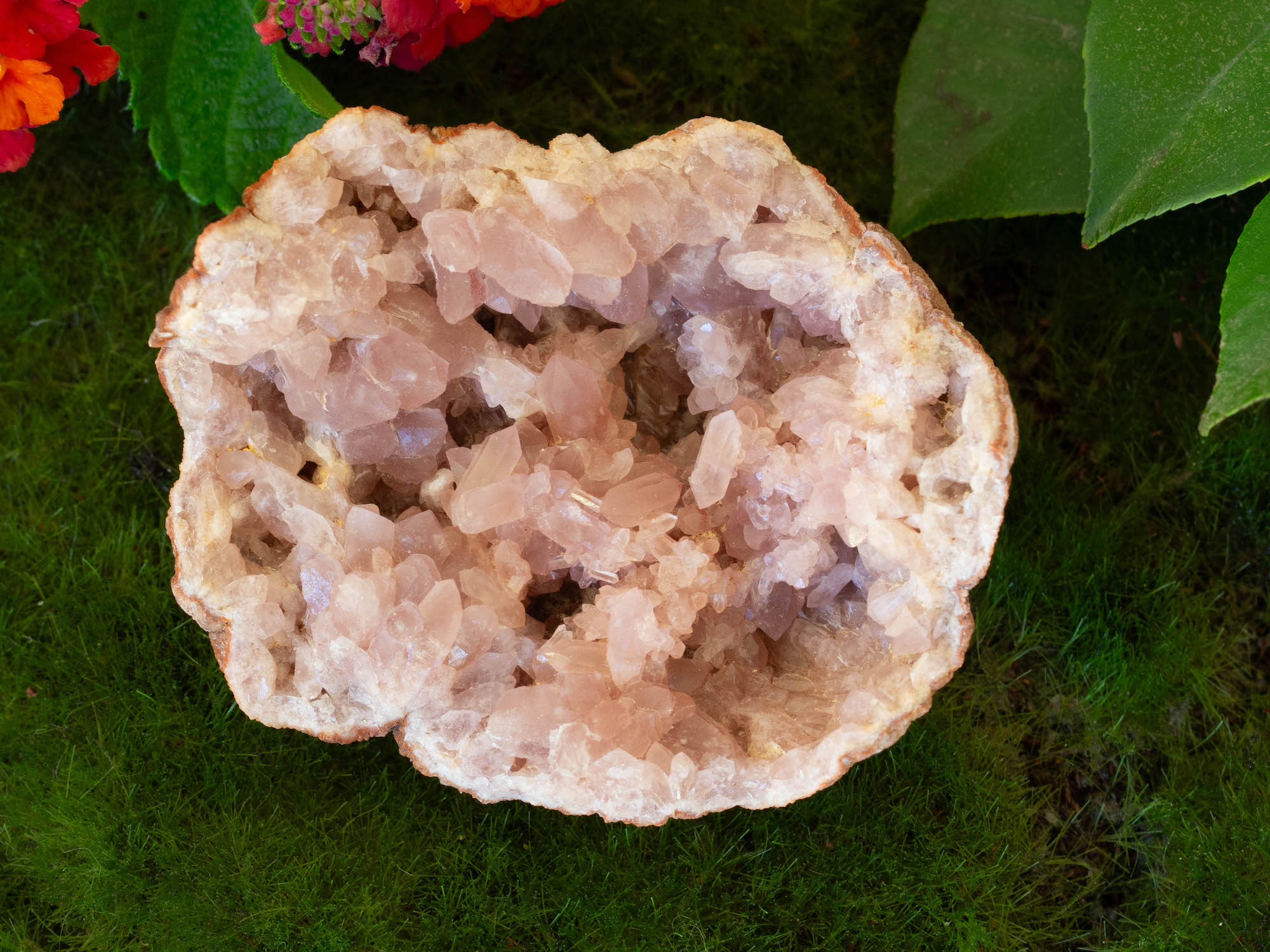 IMG_2232 copy pink amethyst geode salted moon rocks