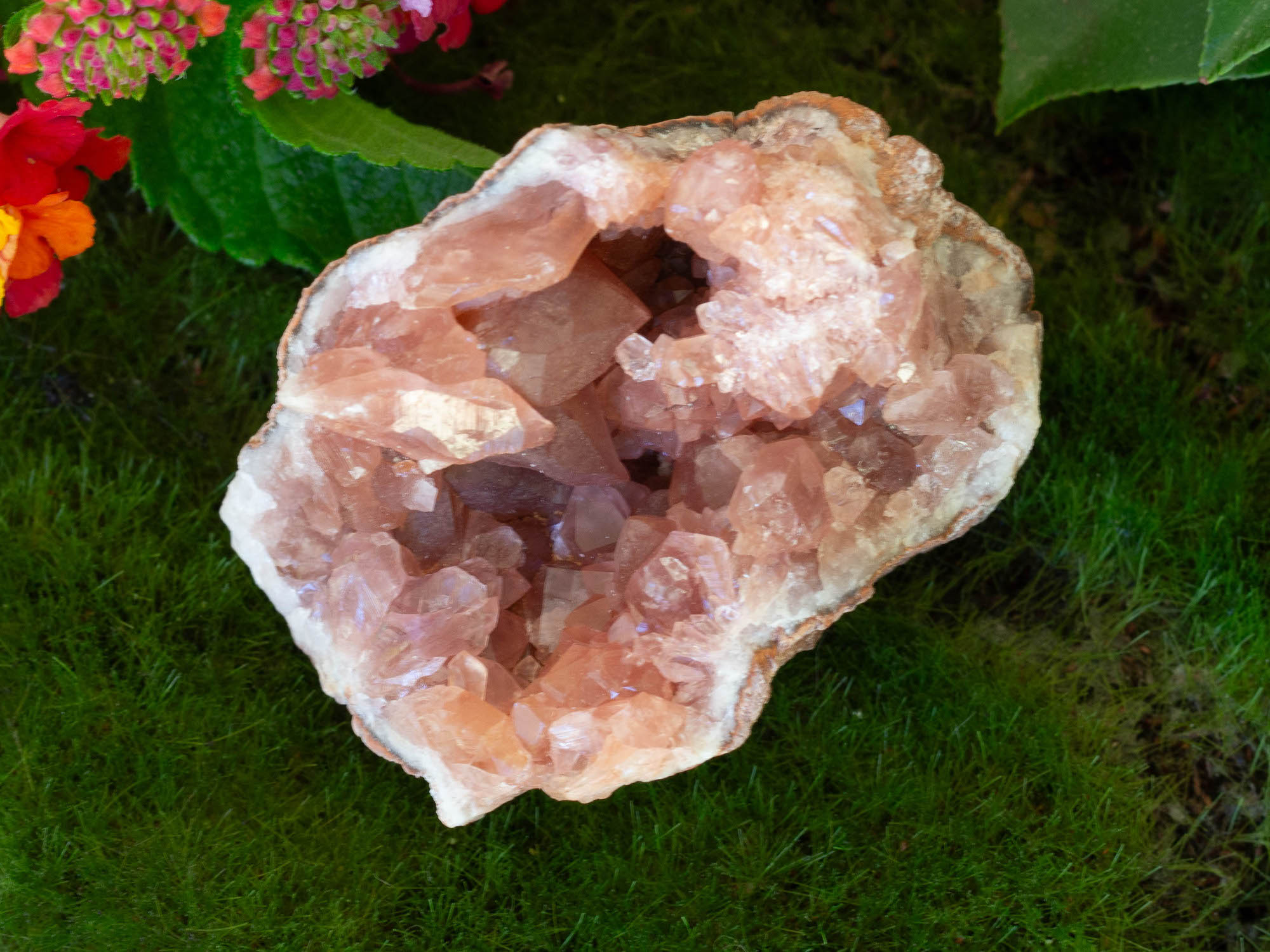 IMG_2235 copy pink amethyst geode salted moon rocks