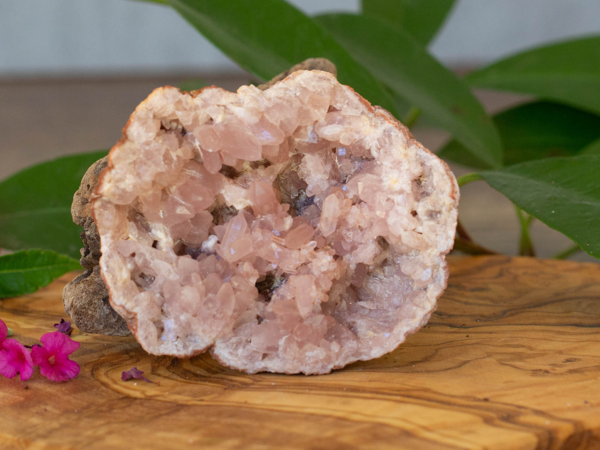 IMG_2280 copy pink amethyst geode salted moon rocks