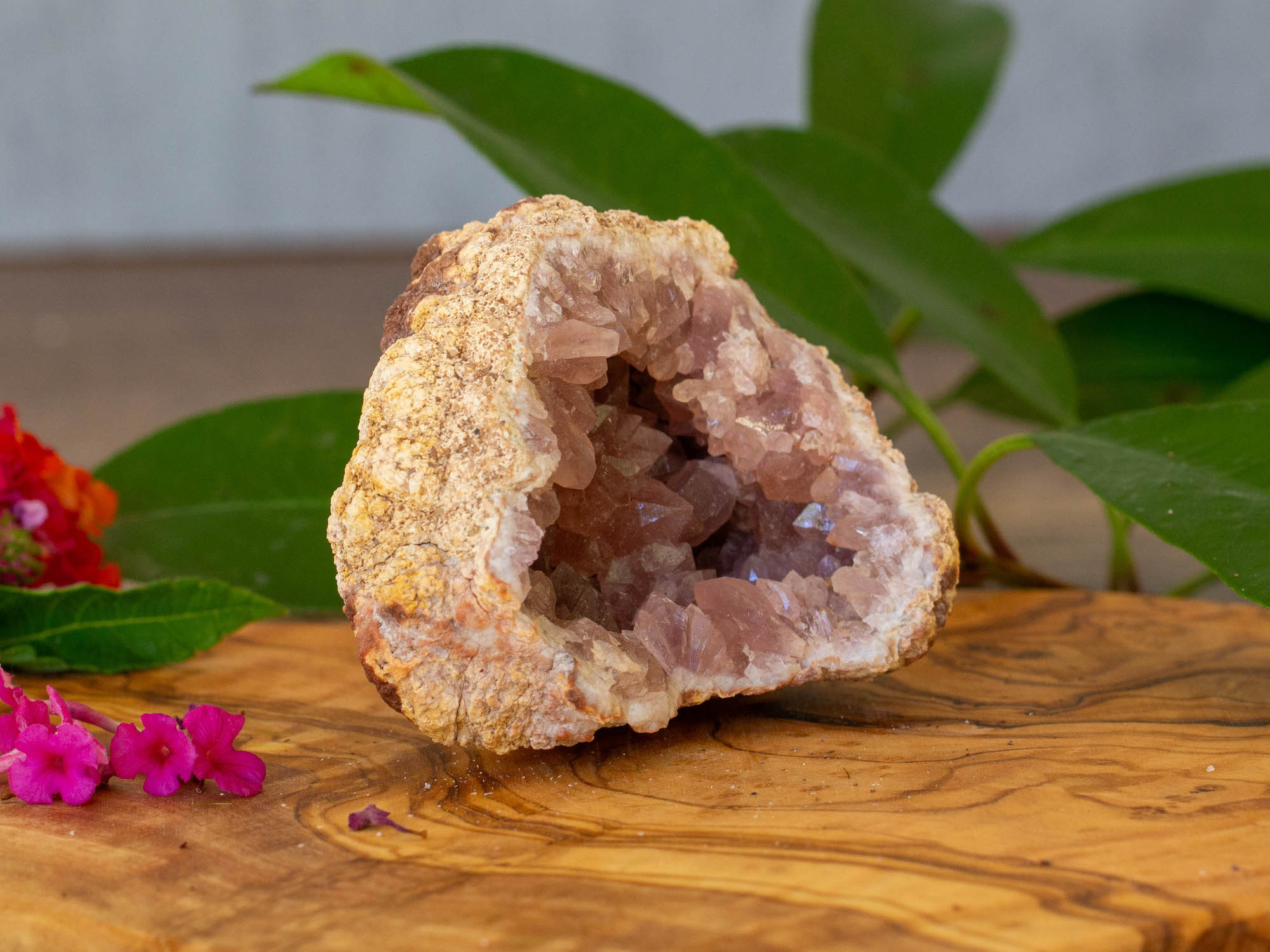 IMG_2284 copy pink amethyst geode salted moon rocks