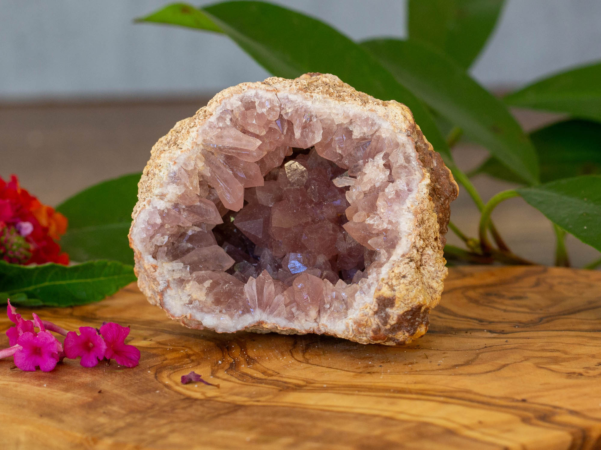 IMG_2285 copy pink amethyst geode salted moon rocks