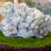 Blue Aragonite Crystal Cluster
