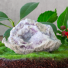 Spirit Flower Geode