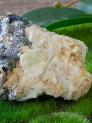 Cerussite Crystal Cluster Orange