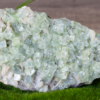 Green Apophyllite Crystal Cluster