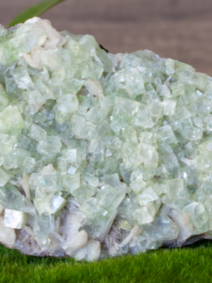Green Apophyllite Crystal Cluster