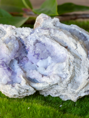 Spirit Flower Geode